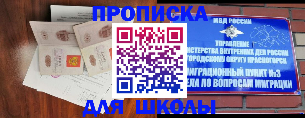 прописка поиск в Мончегорске